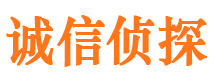 武强诚信私家侦探公司